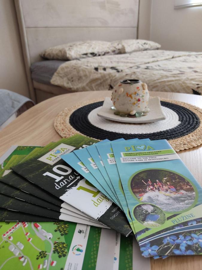Apartman Andjela Plužine Zewnętrze zdjęcie