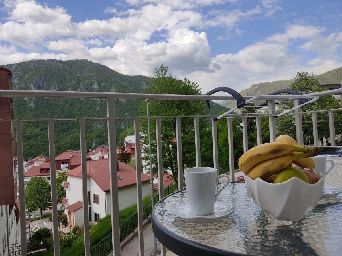 Apartman Andjela Plužine Zewnętrze zdjęcie